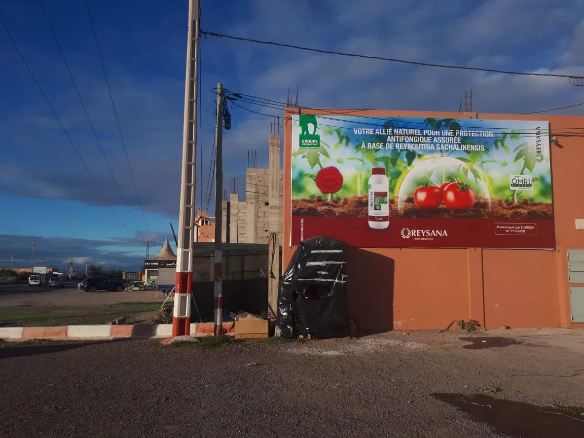Affichage Mural