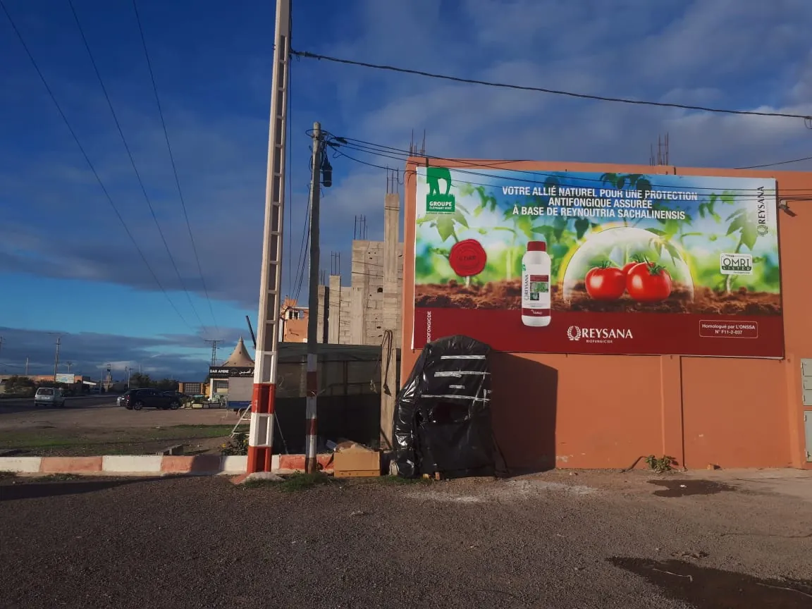 Affichage Mural — réalisation 6